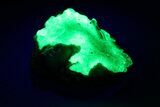 Extremely Fluorescent Hyalite Opal on Feldspar - Nambia #283809-1